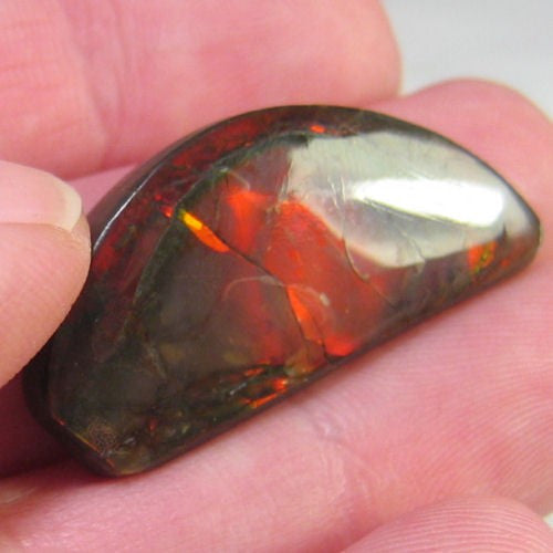 Natural Freeform Ammolite Cabochon - #159