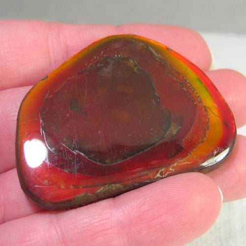 Natural Freeform Ammolite Cabochon - #170