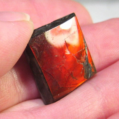 Natural Freeform Ammolite Cabochon - #283