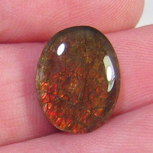 Quartz Capped Ammolite Doublet - #55