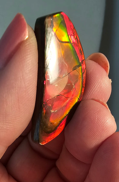 Natural Freeform Ammolite Cabochon - #159