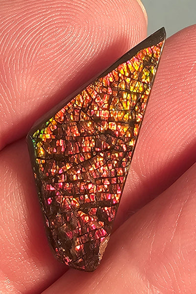 Natural Freeform Ammolite Cabochon - #90