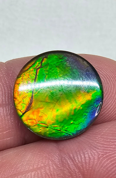 Ammolite Spinel Capped Triplet - #515