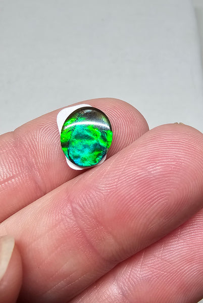 Ammolite Quartz Capped Triplet - #614