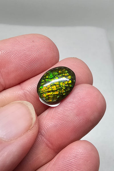 Ammolite Quartz Capped Triplet - #607