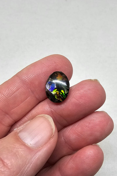 Ammolite Quartz Capped Mosaic Triplet - #602