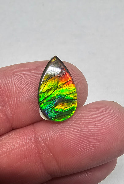 Ammolite Spinel Capped Triplet - #716