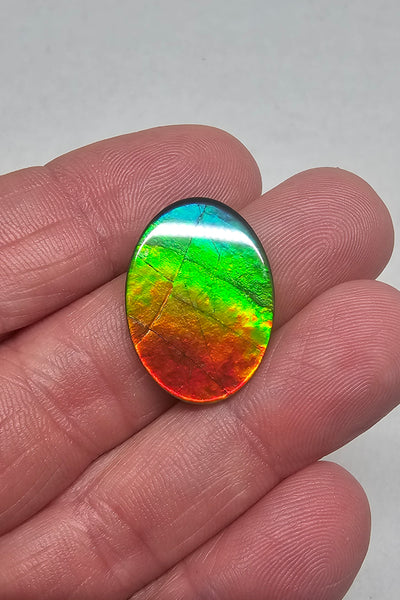 Ammolite Spinel Capped Triplet - #715