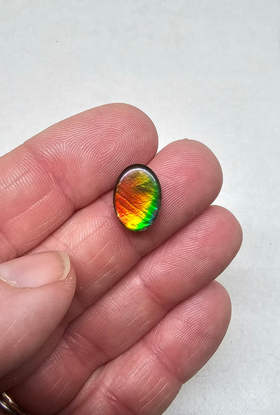 Ammolite Quartz Capped Natural - #976b