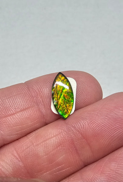 Ammolite Spinel Capped Triplet - #706