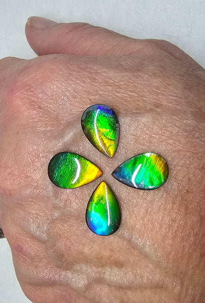 Ammolite Quartz Capped Natural - Set of 4 - #978