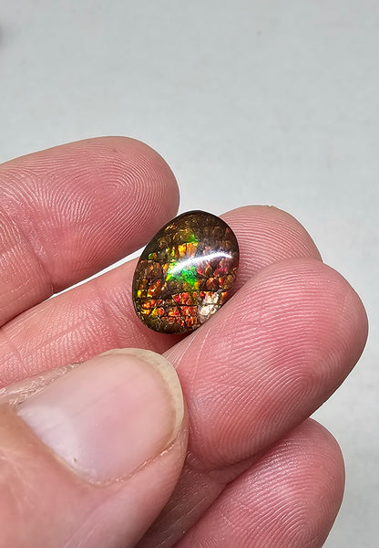 Ammolite Quartz Capped Triplet - #611