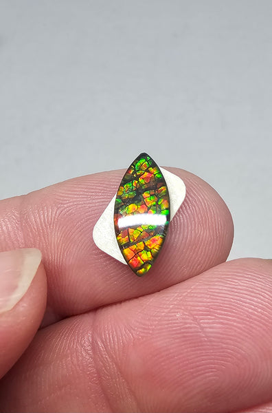 Ammolite Spinel Capped Triplet - #708