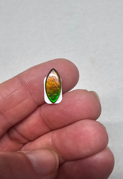 Ammolite Spinel Capped Triplet - #707