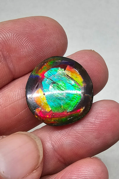 Ammolite Quartz Capped Mosaic Triplet - #603