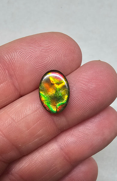 Ammolite Quartz Capped Natural - #977b