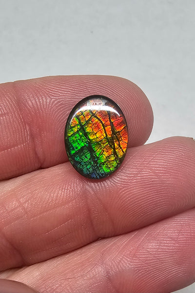 Ammolite Spinel Capped Triplet - #721