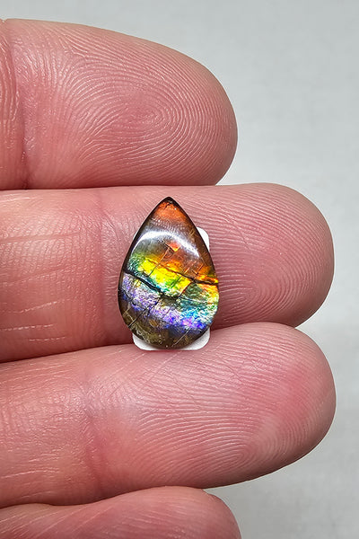 Ammolite Quartz Capped Natural - #981