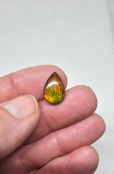 Ammolite Quartz Capped Natural - #968