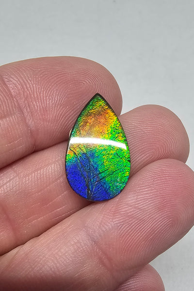 Ammolite Spinel Capped Triplet - #724