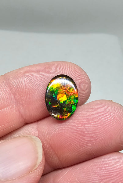 Ammolite Quartz Capped Natural - #977a