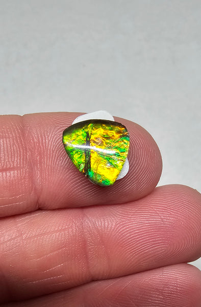 Ammolite Quartz Capped Triplet - #616