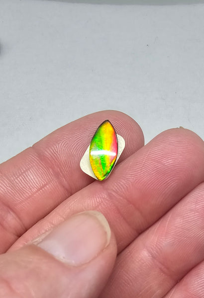 Ammolite Spinel Capped Triplet - #709