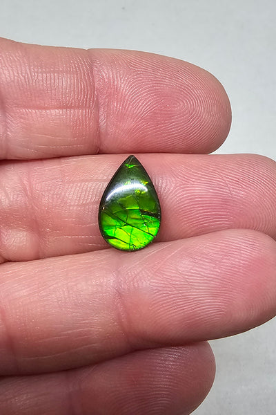 Ammolite Quartz Capped Natural - #966a