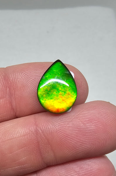 Ammolite Quartz Capped Natural - #982