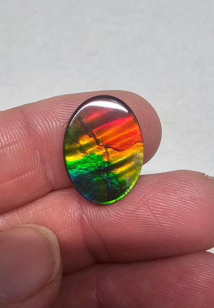 Ammolite Spinel Capped Triplet - #710