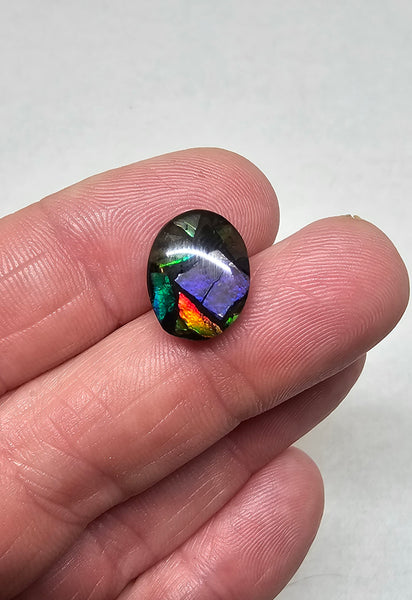 Ammolite Quartz Capped Mosaic Triplet - #604