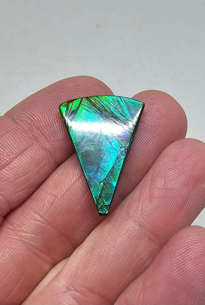 Ammolite Natural - #718