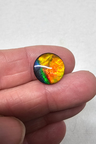 Ammolite Quartz Capped Natural - #974