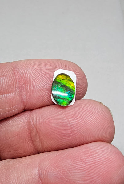 Ammolite Quartz Capped Triplet - #613