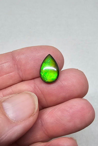 Ammolite Quartz Capped Natural - #966b