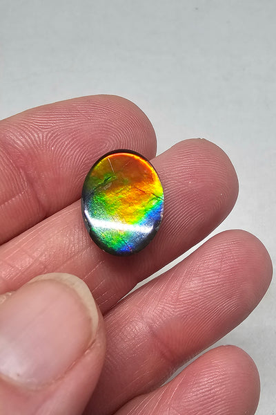 Ammolite Spinel Capped Triplet - #705