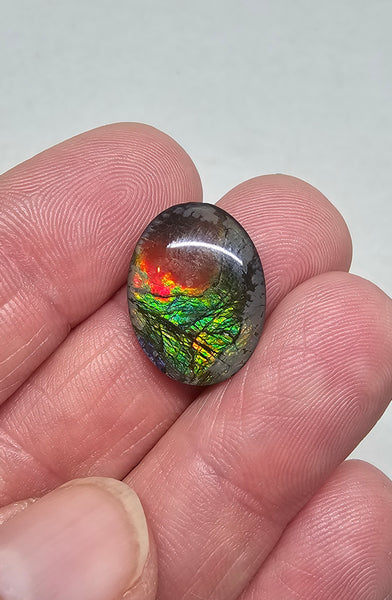 Ammolite Quartz Capped Triplet - #726