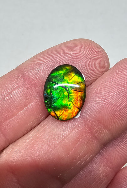 Ammolite Quartz Capped Natural - #975