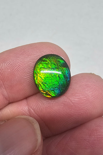 Ammolite Quartz Capped Triplet - #727