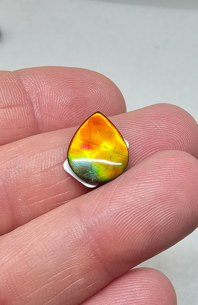 Ammolite Quartz Capped Natural - #983