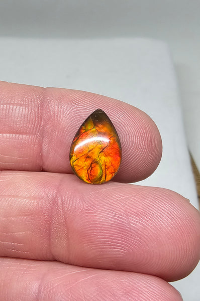 Ammolite Quartz Capped Natural - #967