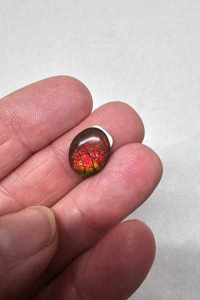 Ammolite Quartz Capped Triplet - #609