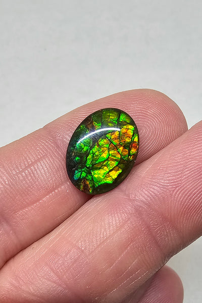 Ammolite Quartz Capped Natural - #970