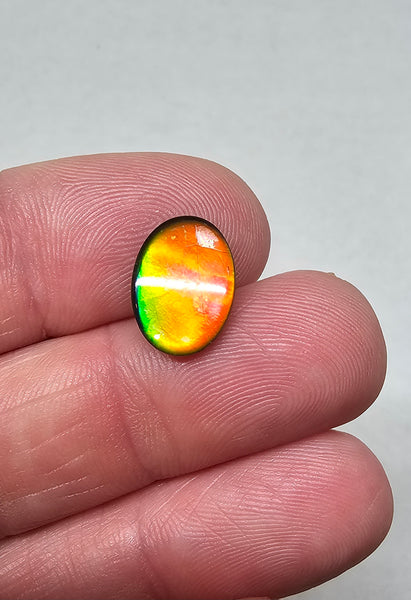 Ammolite Quartz Capped Natural - #976a