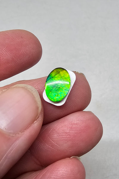 Ammolite Quartz Capped Triplet - #612