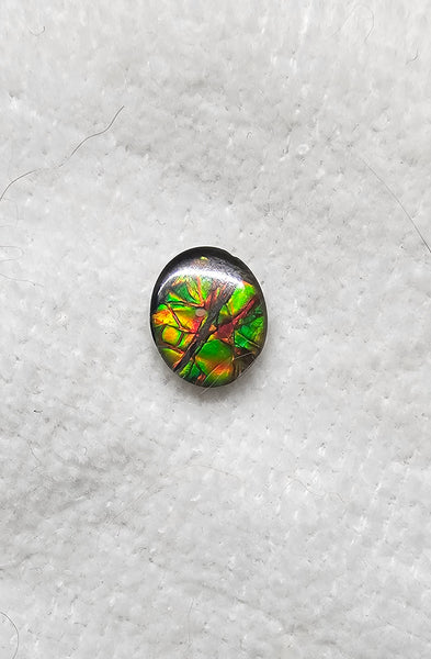 Ammolite Spinel Capped Triplet - #507