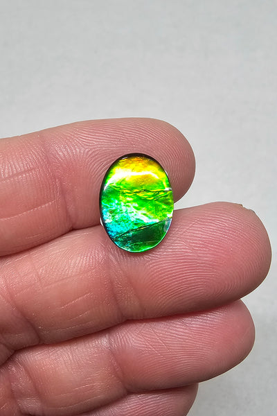 Ammolite Quartz Capped Natural - #984