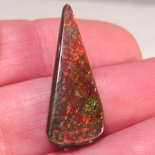 Natural Freeform Ammolite Cabochon - #80